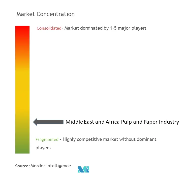 Middle East And Africa Pulp And Paper Market Concentration