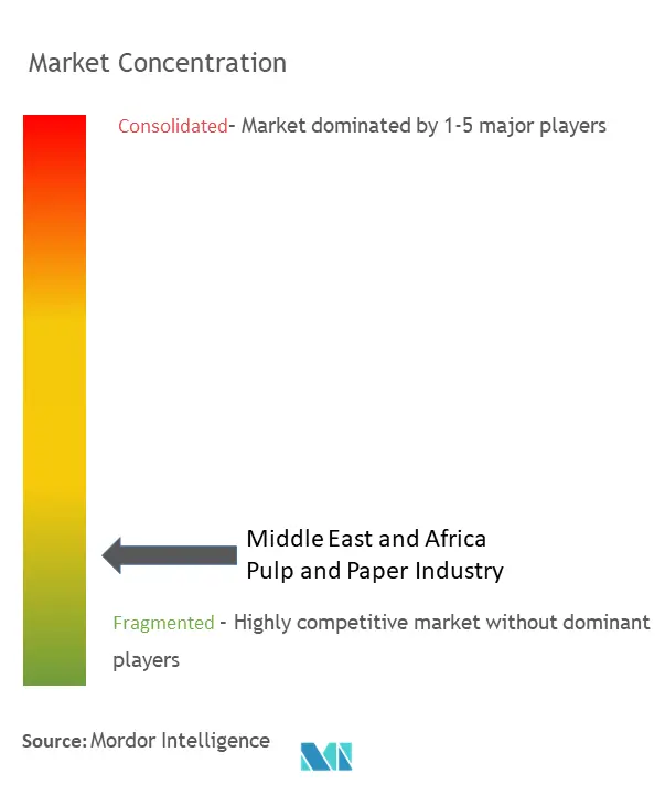 Middle East and Africa Pulp and Paper Industry Market Concentration