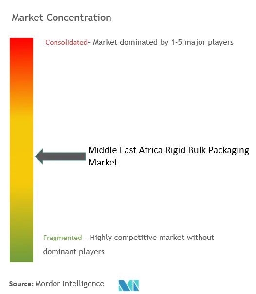 Middle East And Africa Rigid Bulk Packaging Market Concentration