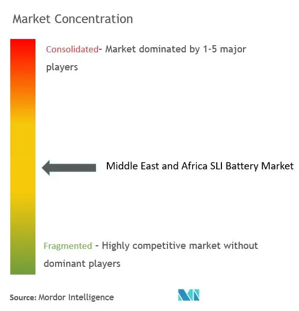 Middle East and Africa SLI Battery Market Concentration