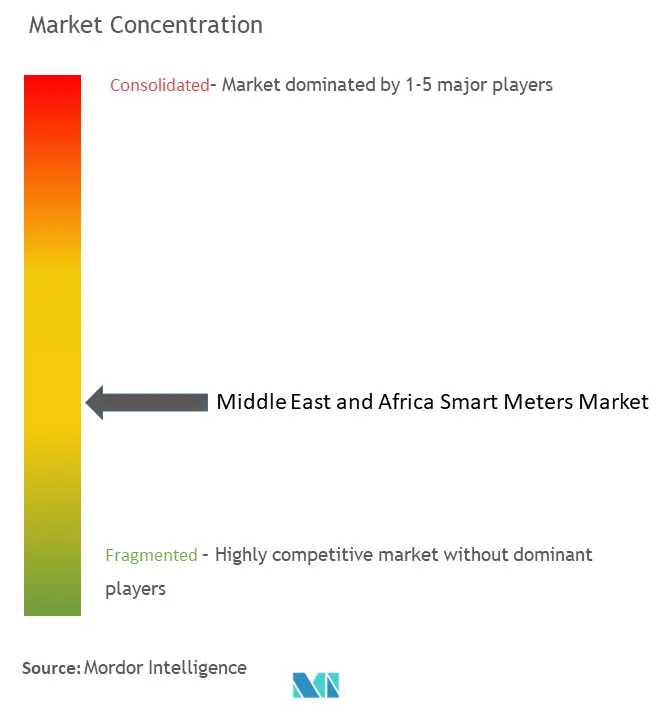 Medidores inteligentes de Oriente Medio y ÁfricaConcentración del Mercado