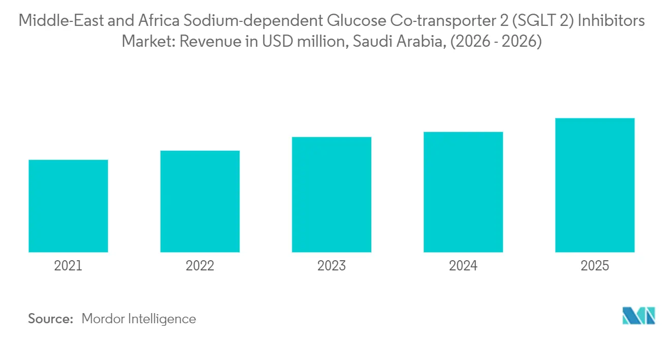 Middle-East and Africa Sodium-dependent Glucose Co-transporter 2 (SGLT 2) Inhibitors Market Growth by Region