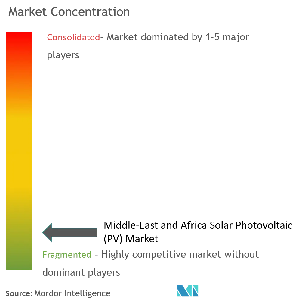 Market Concentration-Middle-East and Africa Solar Photovoltaic (PV) Market.png