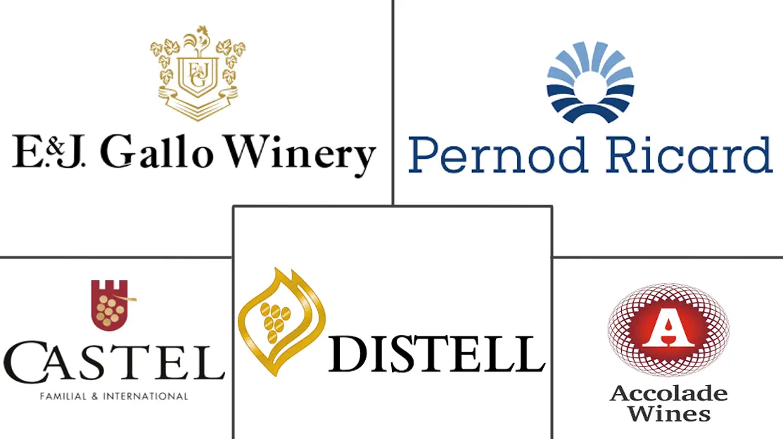 Major players in Middle East And Africa Wine industry