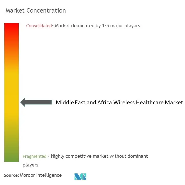 Middle East And Africa Wireless Healthcare Market Concentration