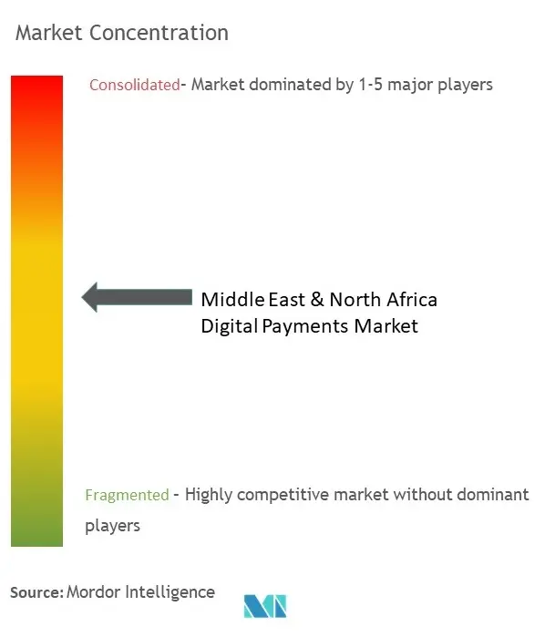 Middle East & North Africa Digital Payments Market Concentration