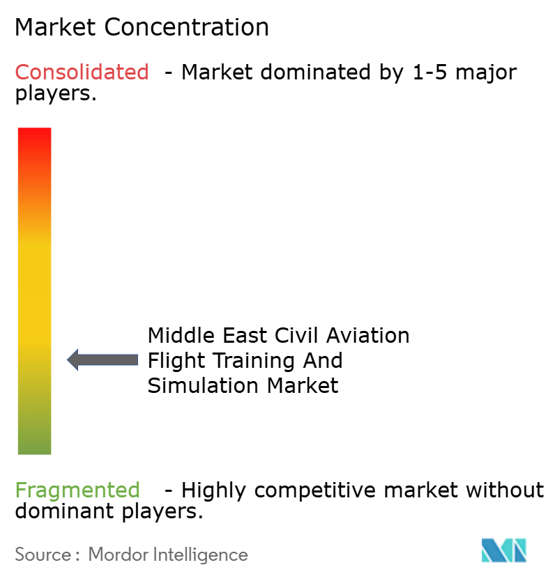 Middle East Civil Aviation Flight Training and Simulation Market Concentration