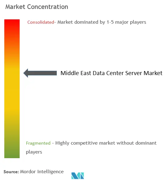 Middle East Data Center Server Market Concentration