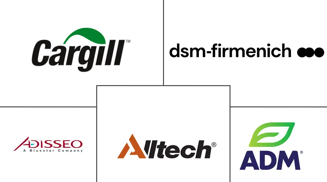 Major players in Middle East Feed Additives industry