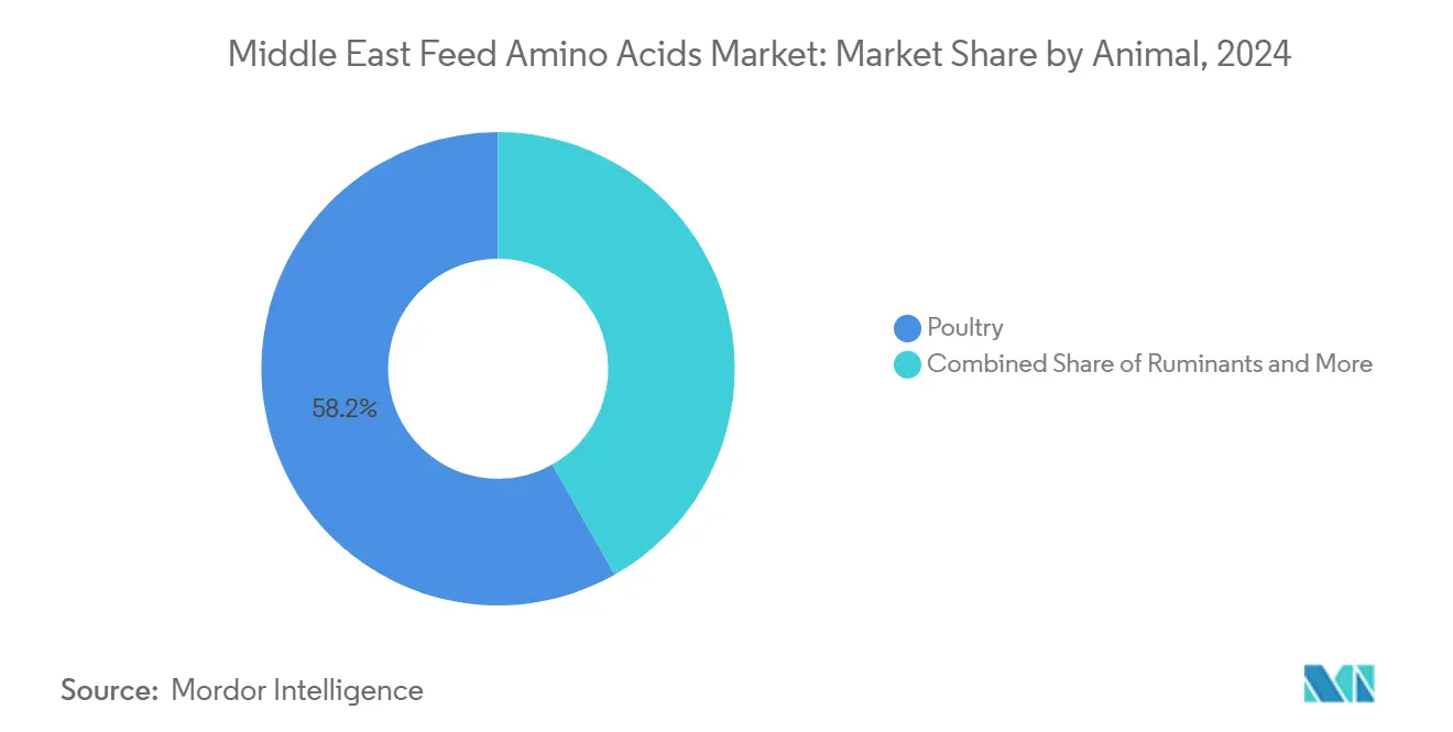 Middle East Feed Amino Acids Market: Market Share by Animal