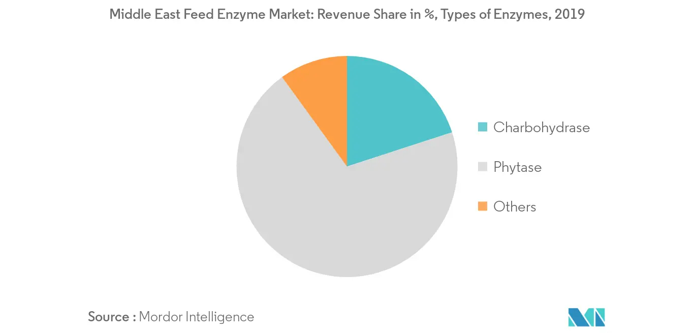 Middle East Feed Enzyme Market