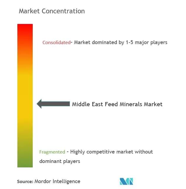 Middle East Feed Minerals Market Concentration