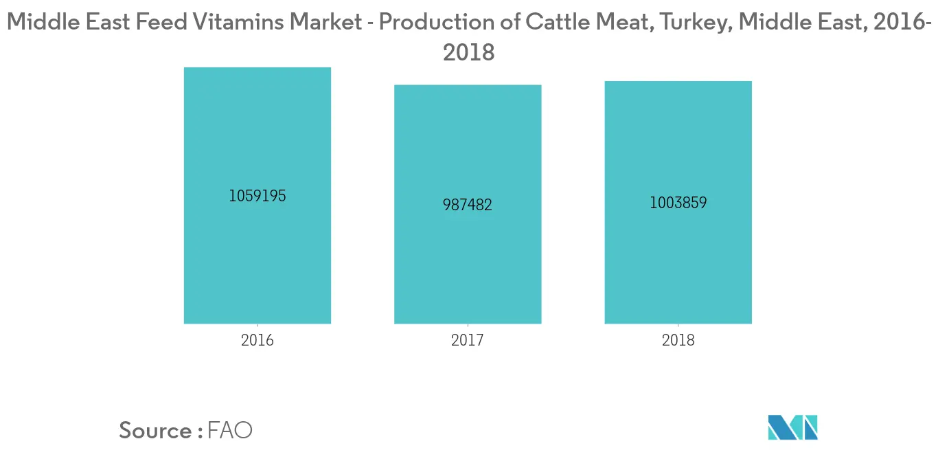 Middle East Feed Vitamins Market - Production of Cattle Meat, Turkey, Middle East, 2016-2018