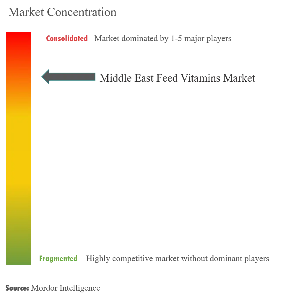 Vitaminas para piensos de Oriente MedioConcentración del Mercado