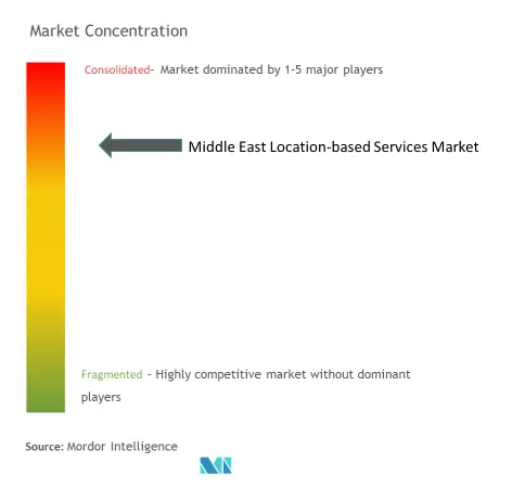中東の位置情報サービス市場集中度