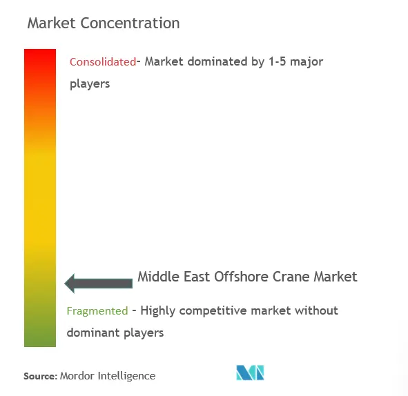 Middle East Offshore Crane Market Concentration