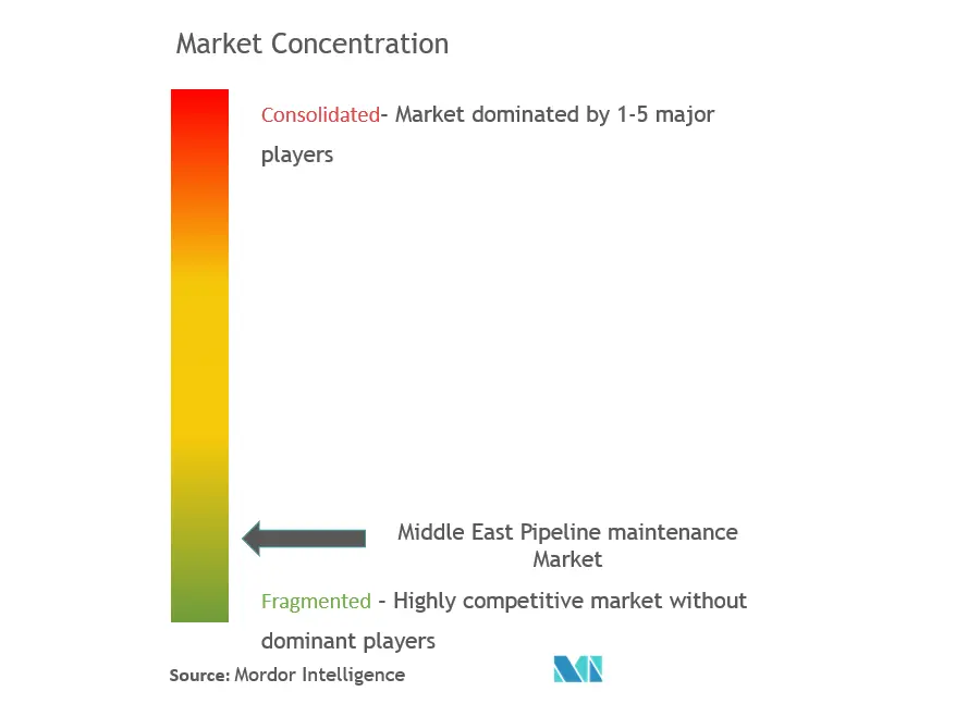 中東パイプライン・メンテナンス市場の集中度