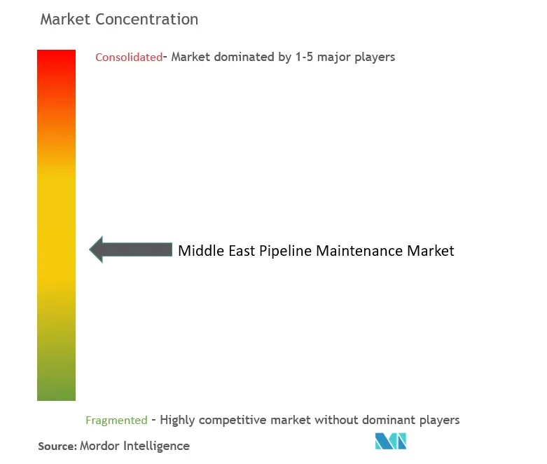 Middle East Pipeline Maintenance Market Concentration