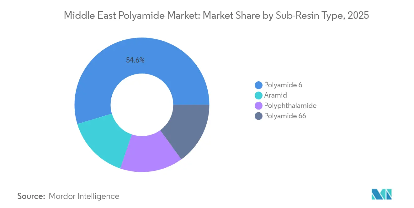 Middle East Polyamide Market: Market Share by Sub-Resin Type, 2025