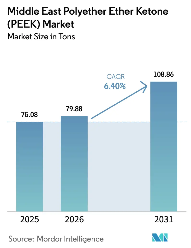 Middle East Polyether Ether Ketone (PEEK) Market (2025 - 2030)