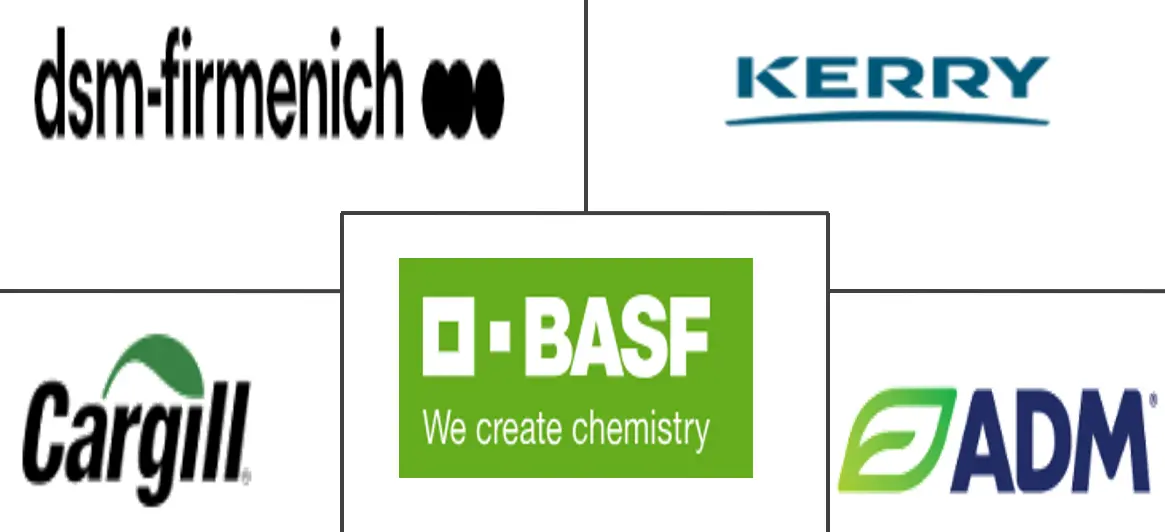Major players in Middle East Protein industry