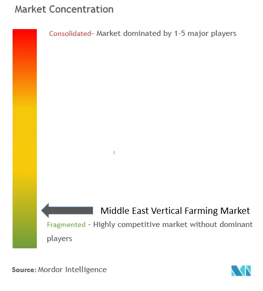 中東の垂直農法市場集中度