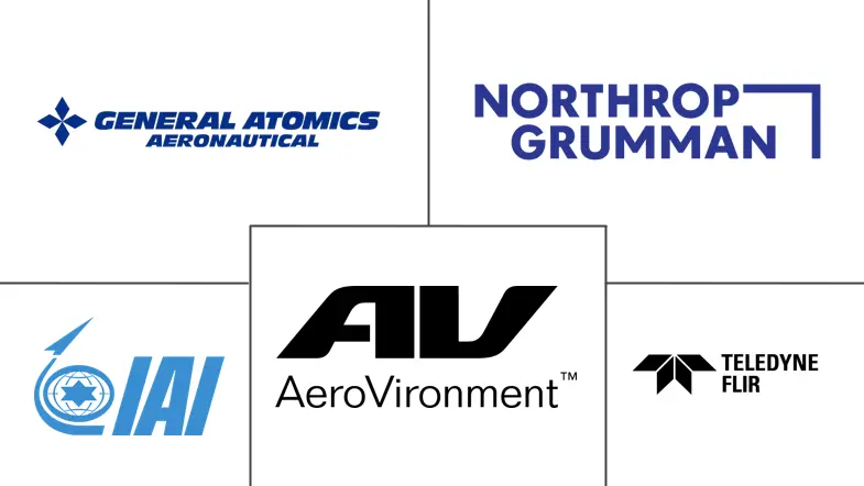 Major players in Military Unmanned Aerial Vehicles industry