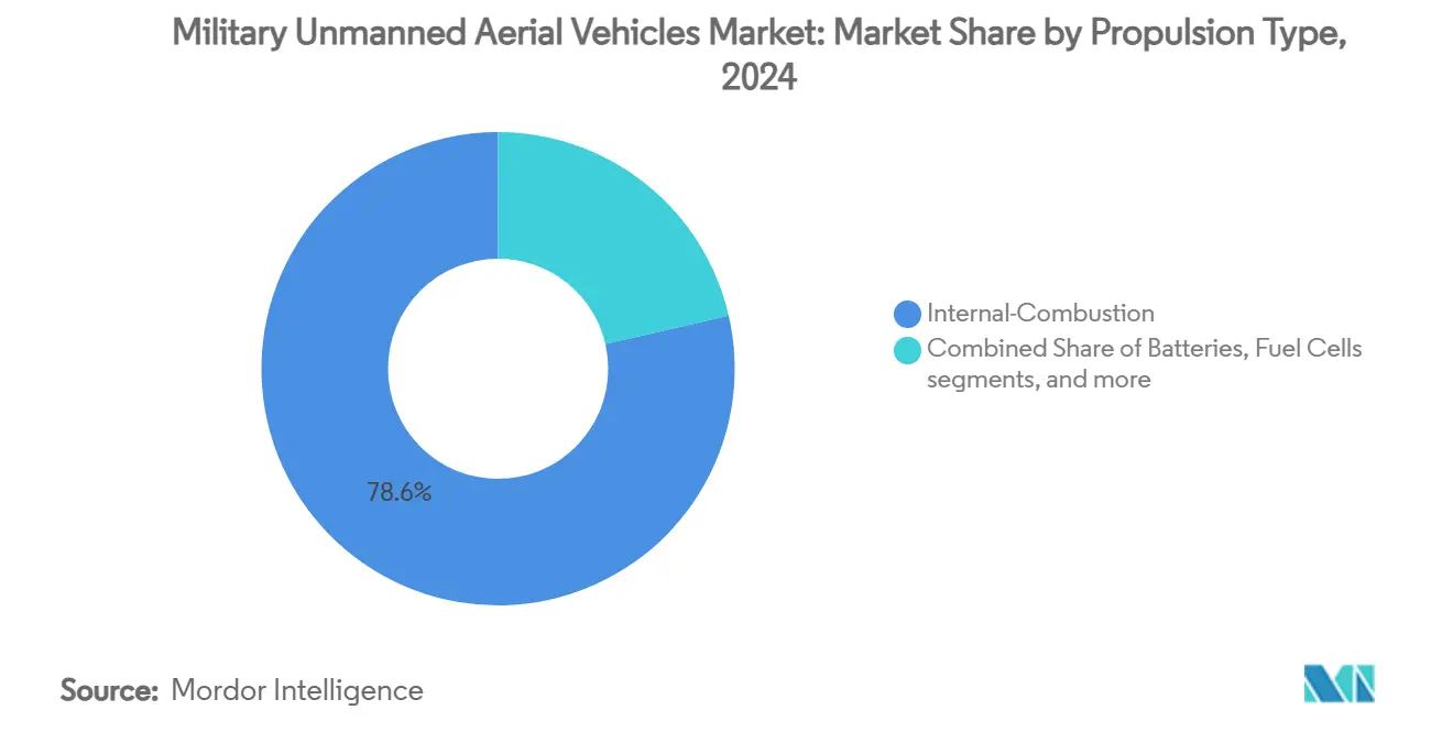 Military Unmanned Aerial Vehicles Market Share by Propulsion Type