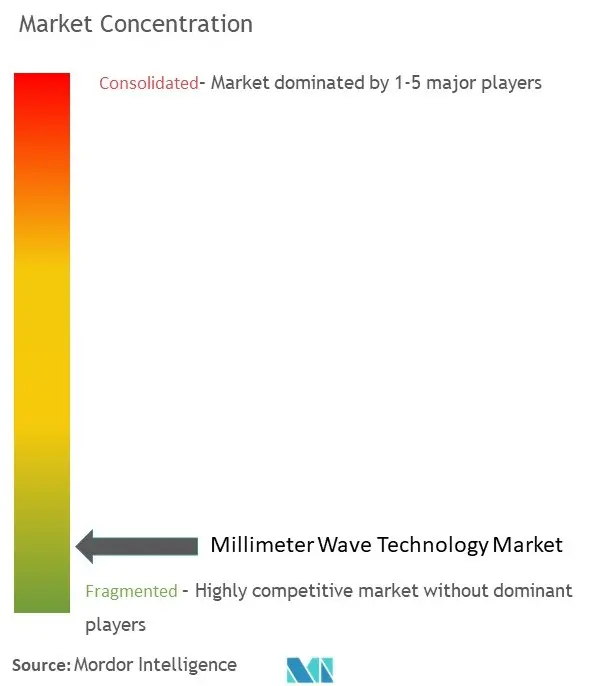 Millimeter Wave Technology Market Concentration
