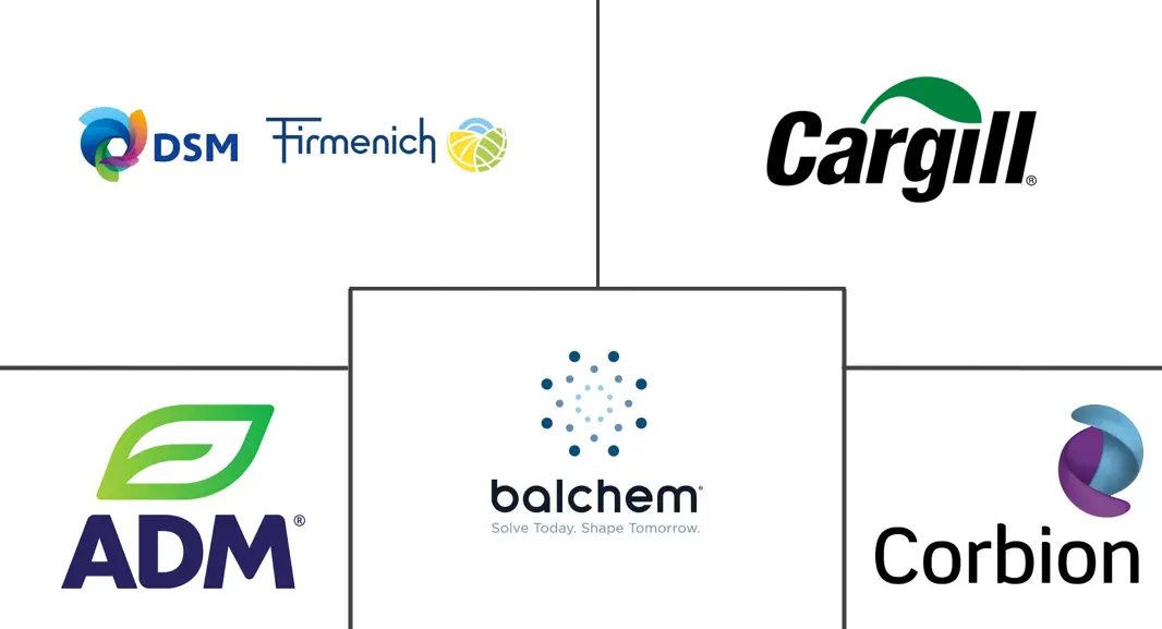 Major players in Mineral Enrichment Ingredients industry