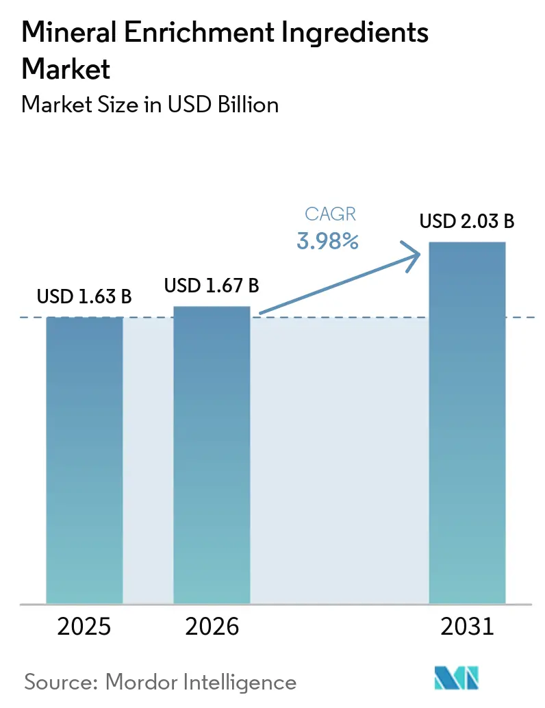 Mineral Enrichment Ingredients Market Size