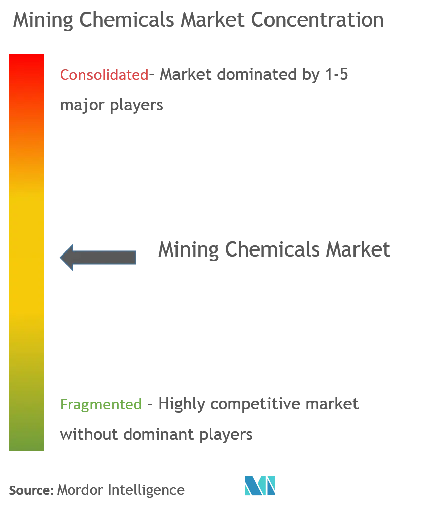 Mining Chemicals Market Concentration