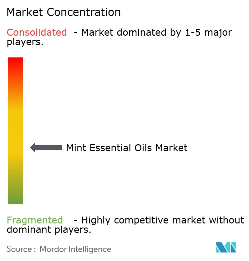 Mint Essential Oils Market Concentration