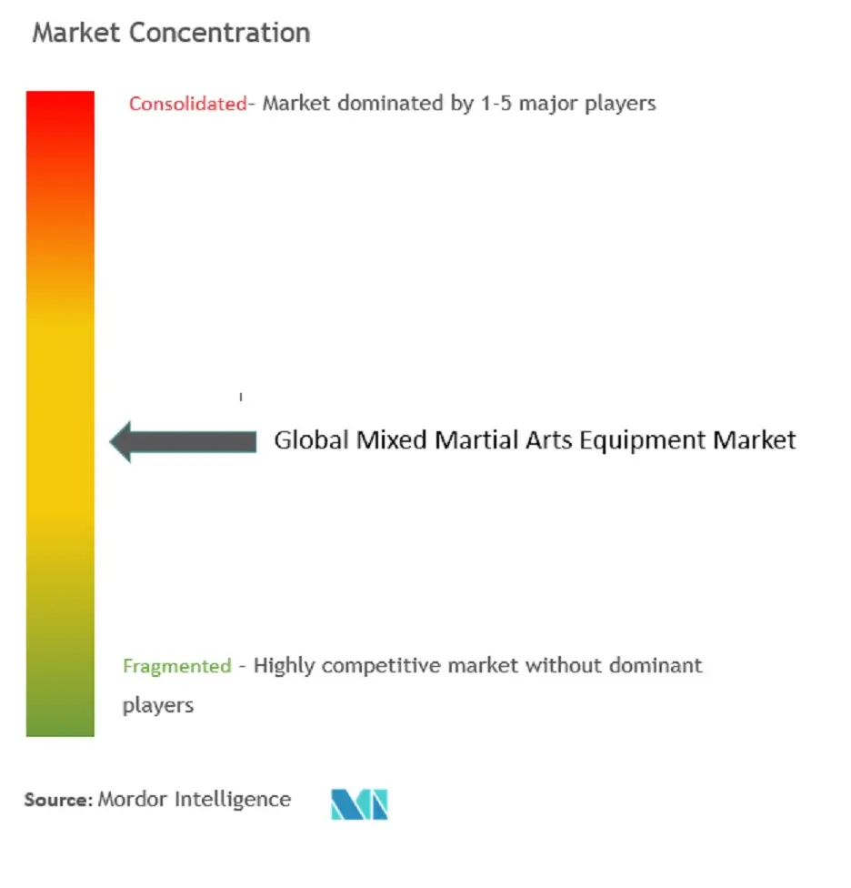 Mixed Martial Arts Equipment Market Concentration