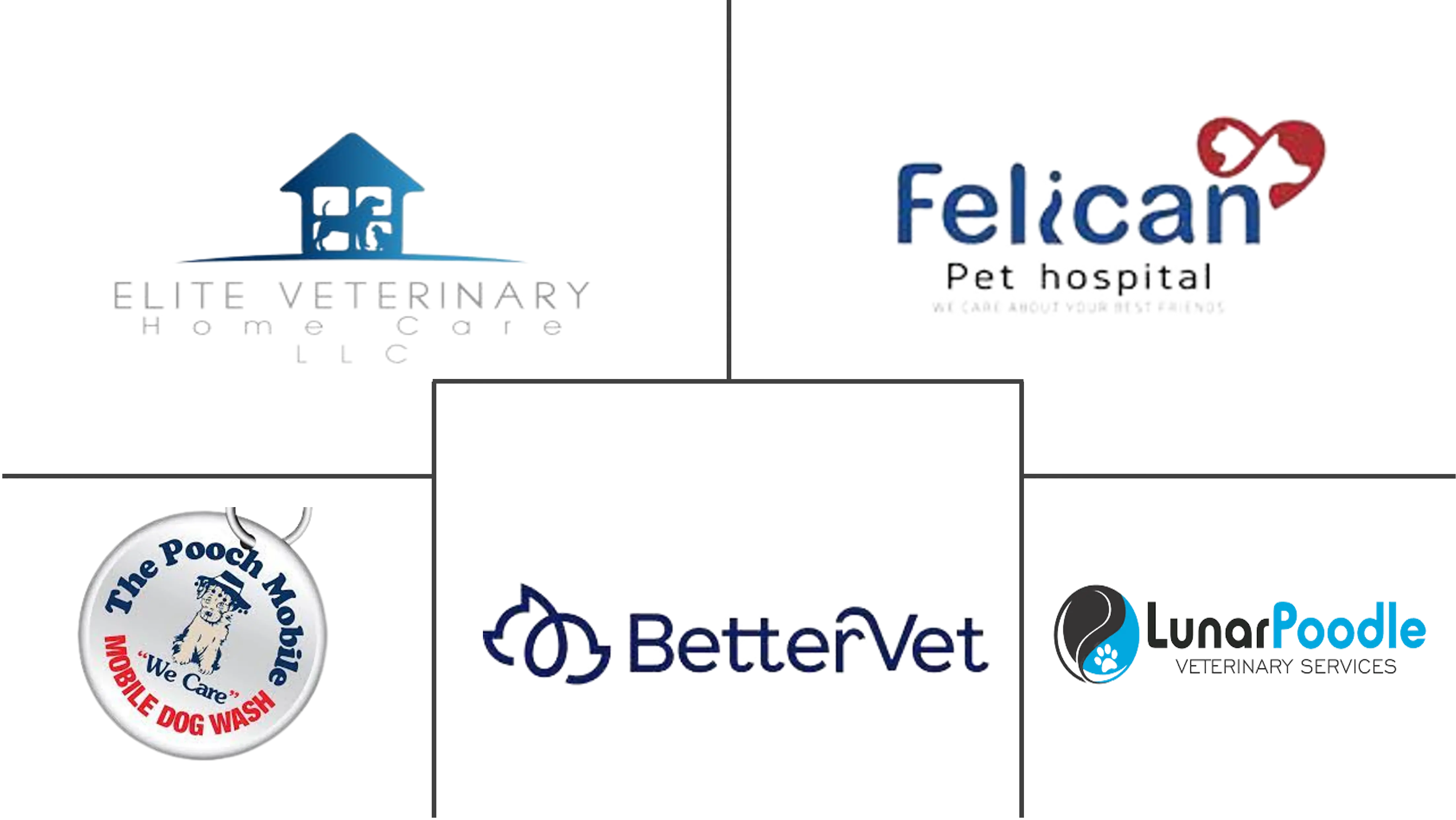 Major players in Mobile Veterinary Care industry