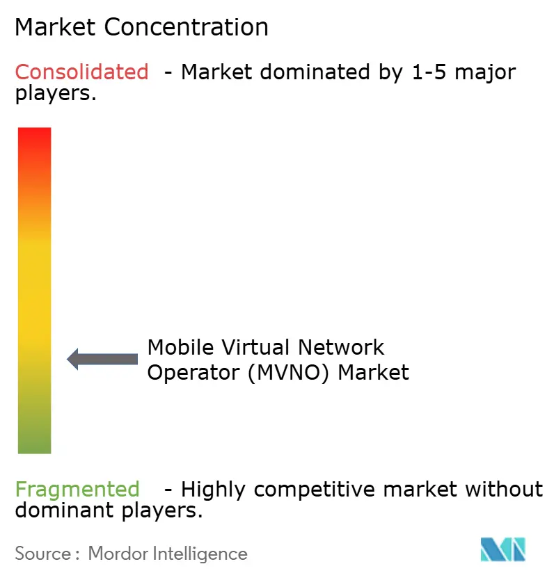 Concentration du marché des opérateurs de réseau mobile virtuel (MVNO)