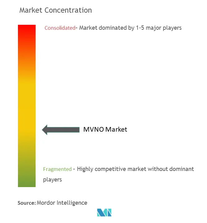 Mobile Virtual Network Operator (MVNO) Market Concentration