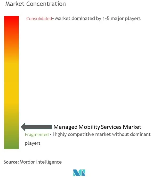 Managed Mobility Services Market Concentration