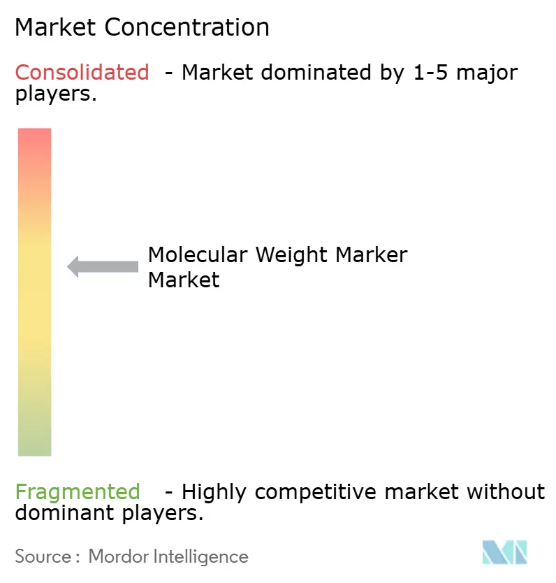 Molecular Weight Marker Market Concentration