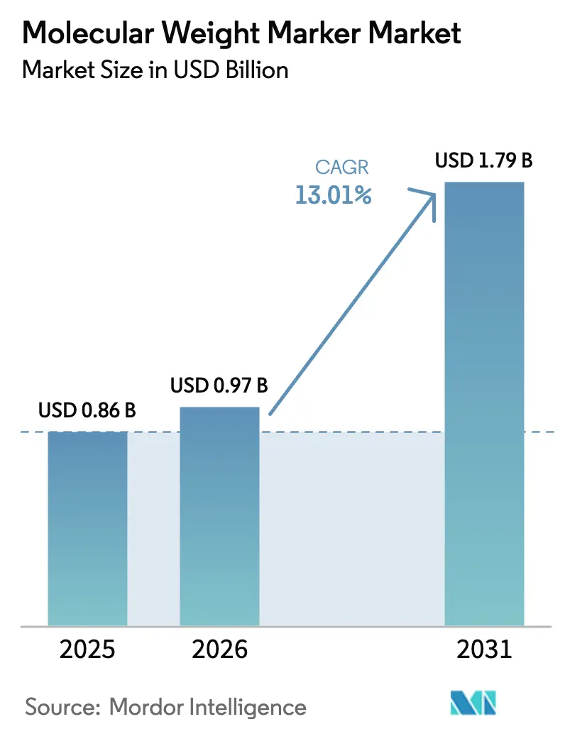 Molecular Weight Marker Market (2025 - 2030)