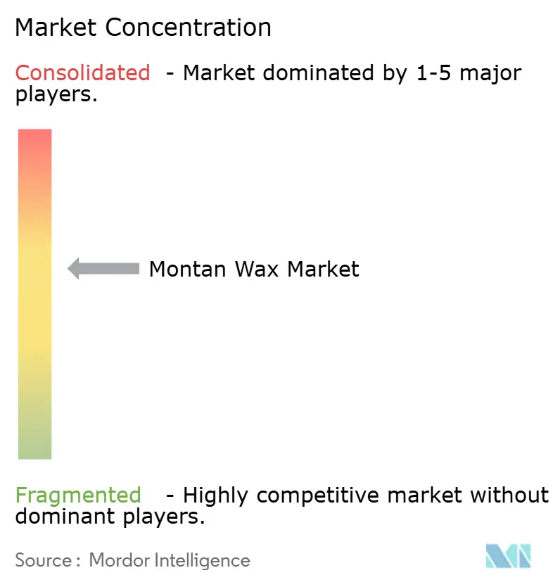 Montan Wax Market Concentration