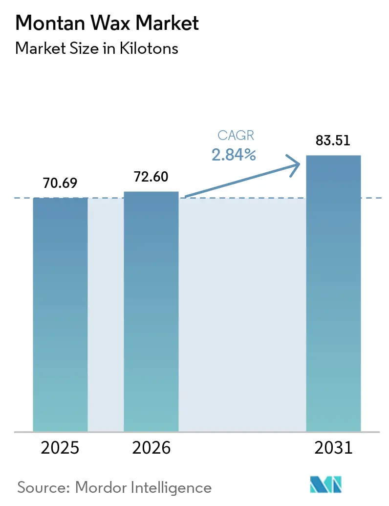 Montan Wax Market (2026 - 2031)