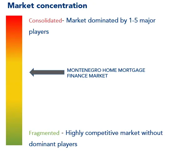 モンテネグロの住宅ローン金融市場集中度