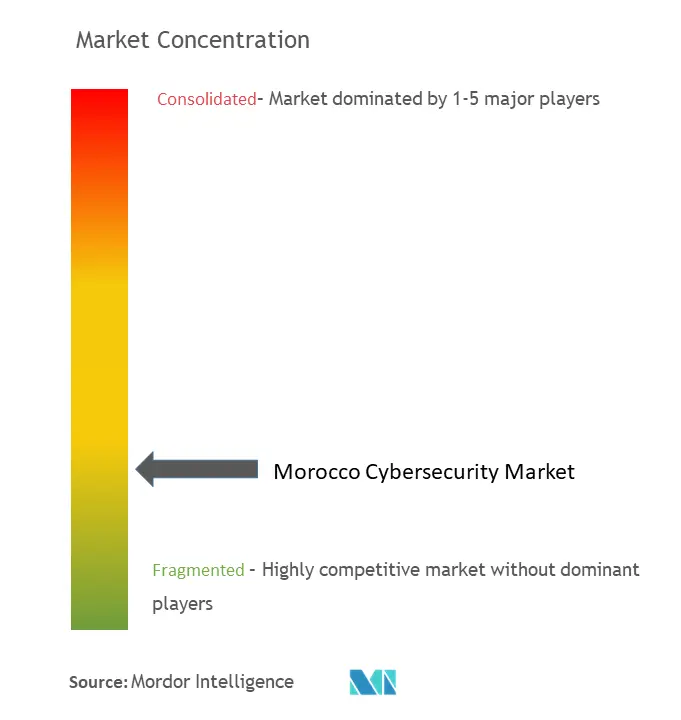 Morocco Cybersecurity Market Concentration