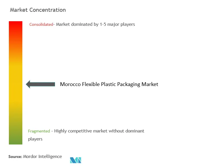 Morocco Flexible Plastic Packaging Market Concentration