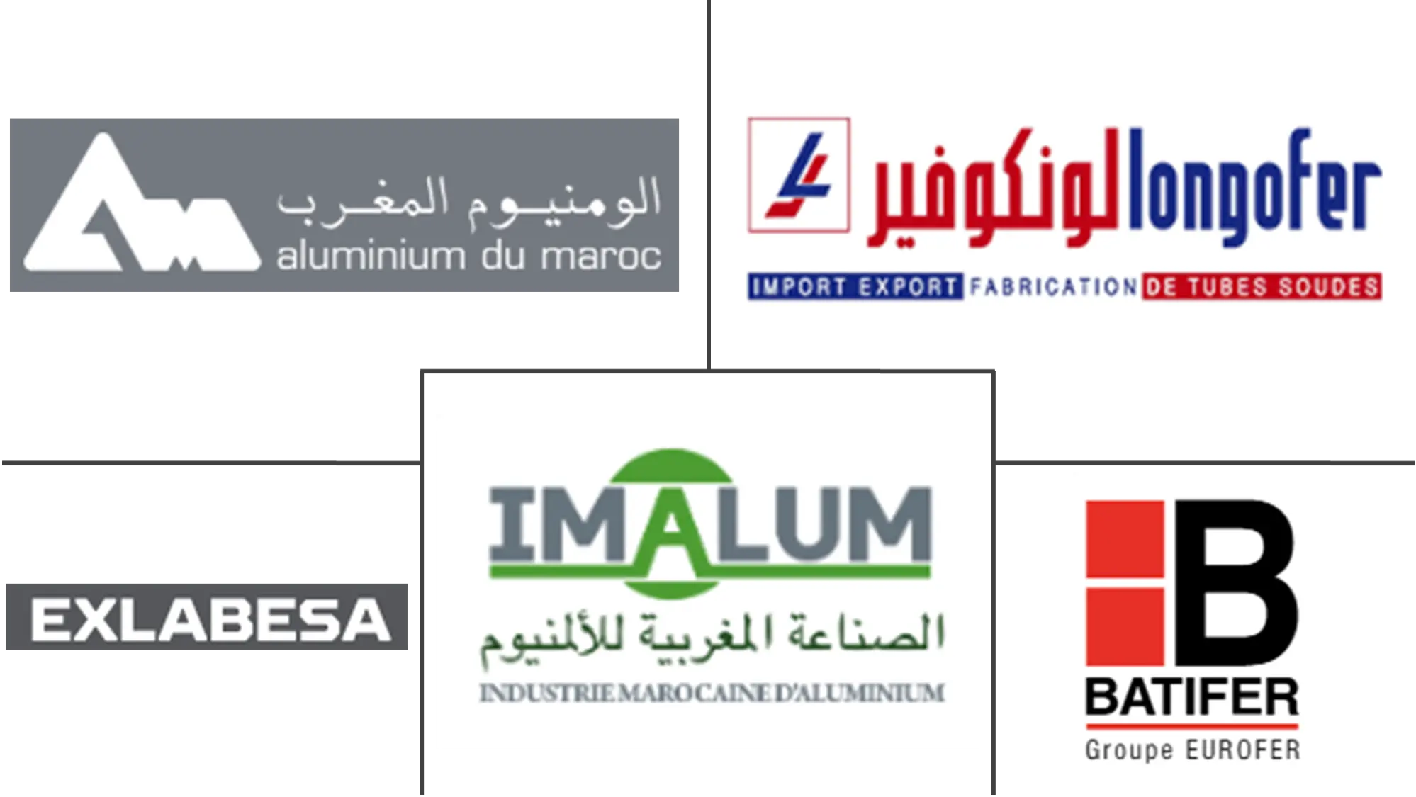 Major players in Morocco Metal Profiles industry