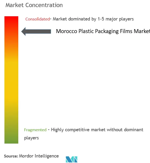 Morocco Plastic Packaging Films Market Concentration