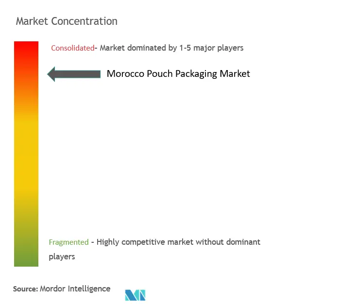 Morocco Pouch Packaging Market Concentration