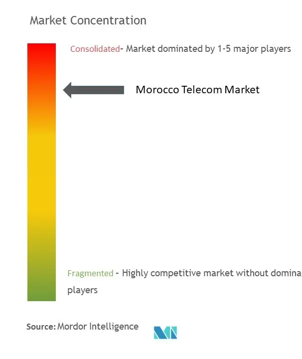 Morocco Telecom Market Concentration