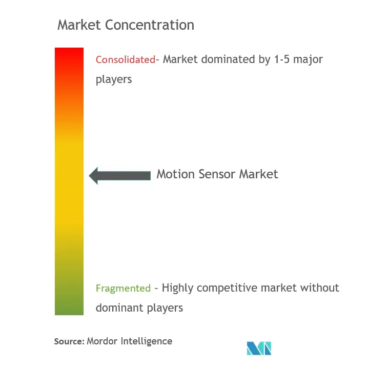 Motion Sensor Market Concentration